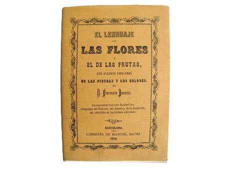 valladolid-zonas-de-libro-14